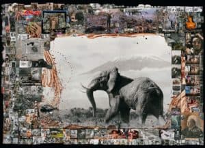wohndesign-magazin-PETER-BEARD