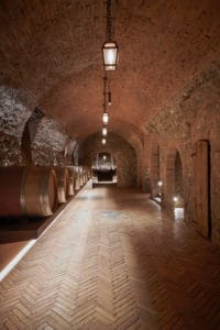 Argiano-53