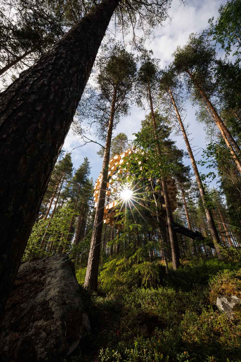 Treehotel - Biosphere