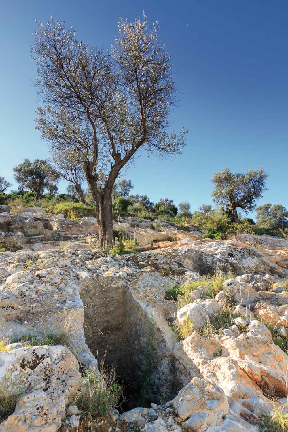 Auf dem Berg Puig des Molins liegt die größte und am besten erhaltene Nekropole der Welt. Foto: Ibiza Travel