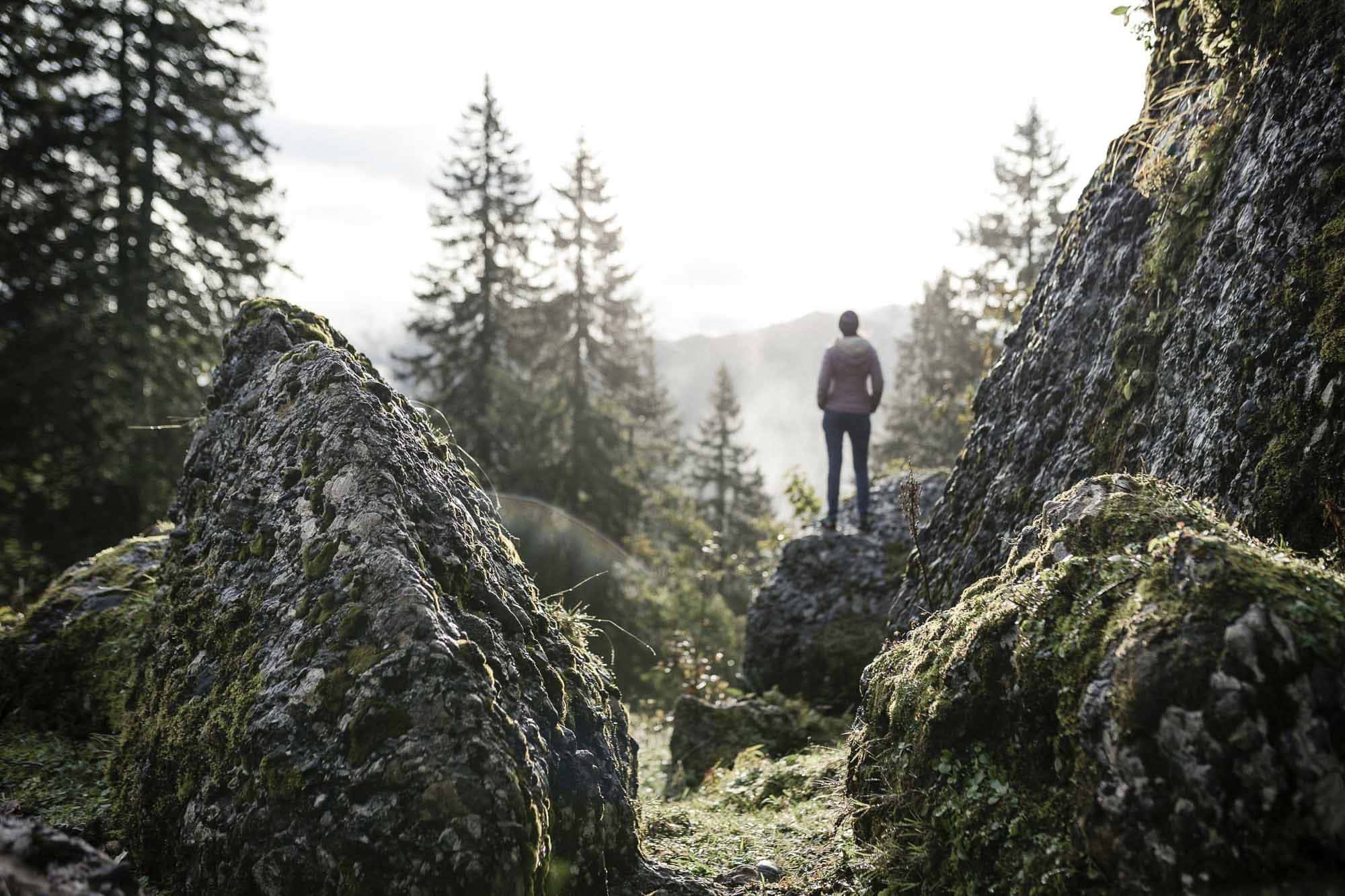 Die Kraft der Natur