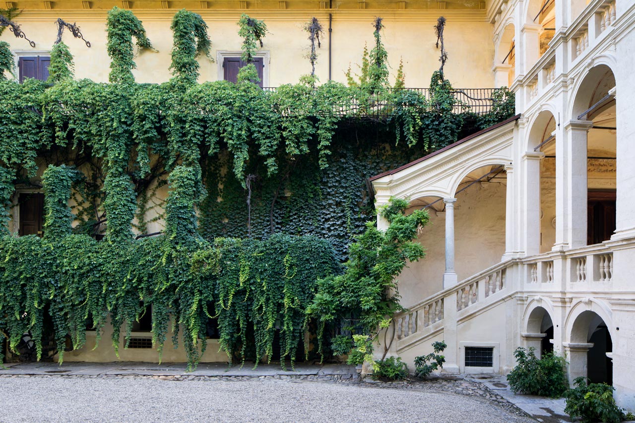 Schlossgelände mit Efeu bewachsen